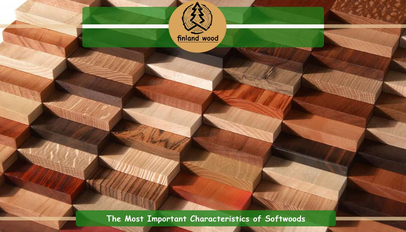 Types Of Softwood For Furniture At Elijah Wollstonecraft Blog Types Of Softwood For Furniture At Elijah Wollstonecraft Blog